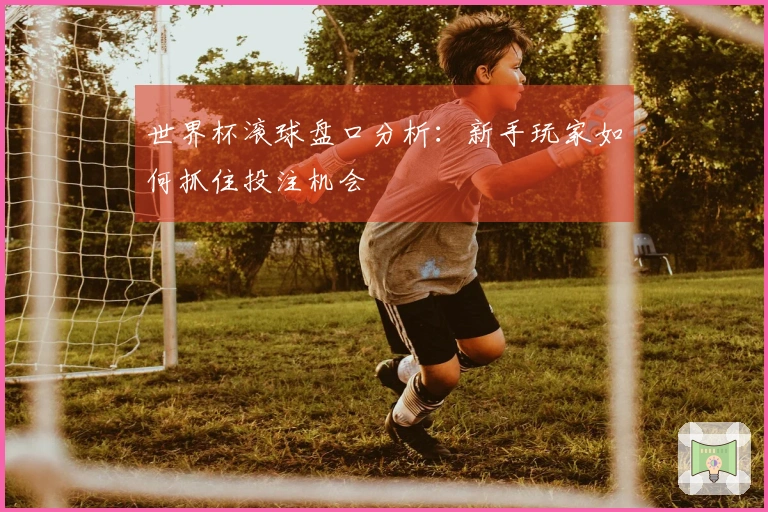 世界杯滚球盘口分析：新手玩家如何抓住投注机会