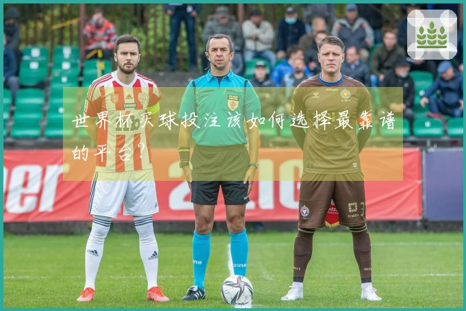 世界杯买球投注该如何选择最靠谱的平台？