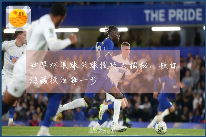 世界杯滚球买球技巧大揭秘，教你稳赢投注每一步