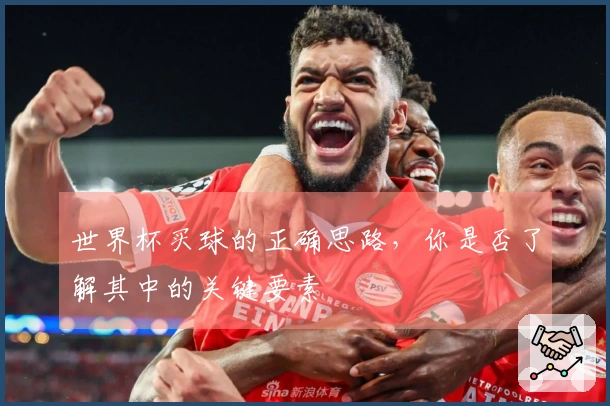 世界杯买球的正确思路，你是否了解其中的关键要素