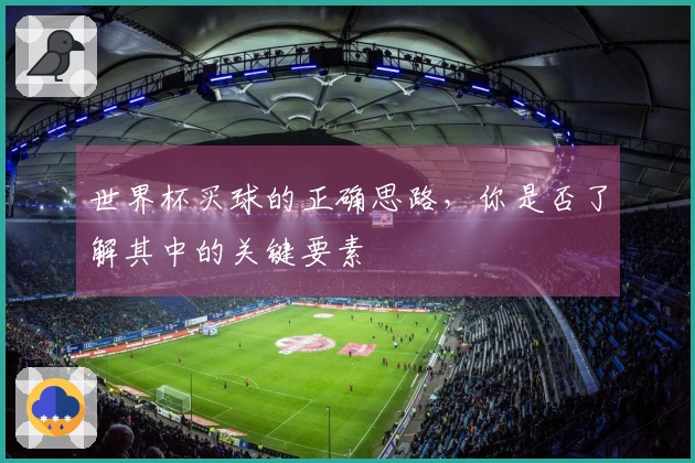世界杯买球的正确思路，你是否了解其中的关键要素