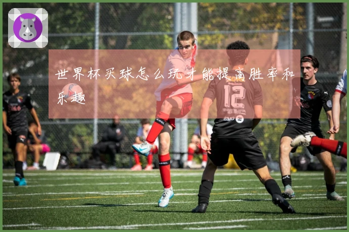 世界杯买球怎么玩才能提高胜率和乐趣