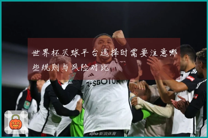 世界杯买球平台选择时需要注意哪些规则与风险对比