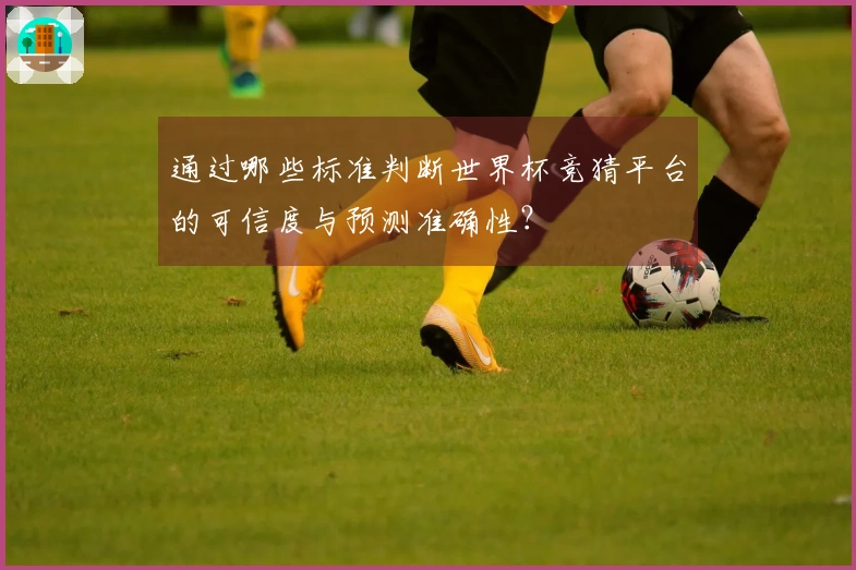 通过哪些标准判断世界杯竞猜平台的可信度与预测准确性？
