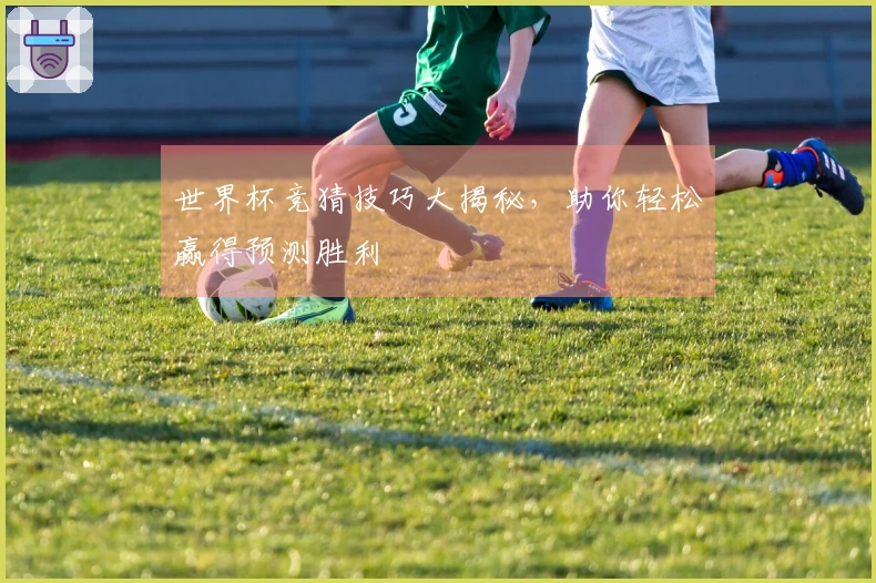 世界杯竞猜技巧大揭秘，助你轻松赢得预测胜利