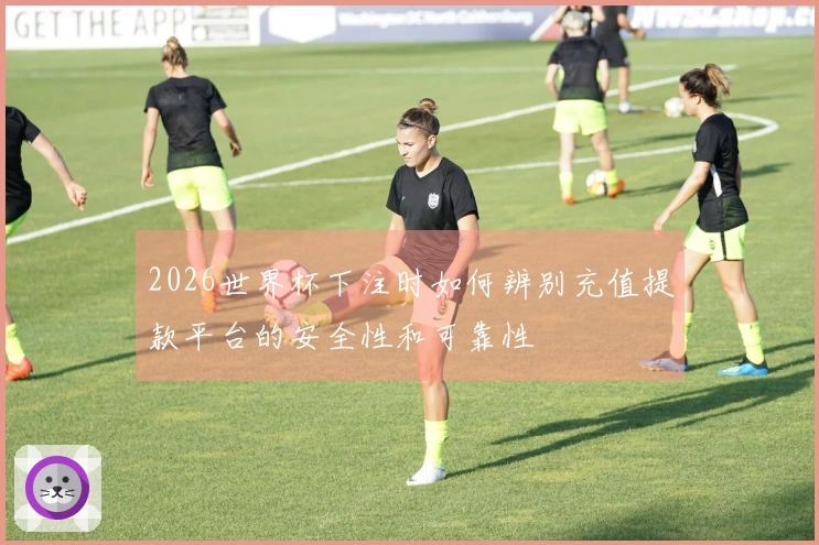2026世界杯下注时如何辨别充值提款平台的安全性和可靠性